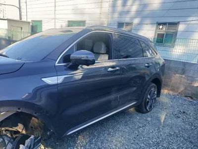 2021 Kia Sorento KNARK81GBMA040541 VIN:KNARK81GBMA040541