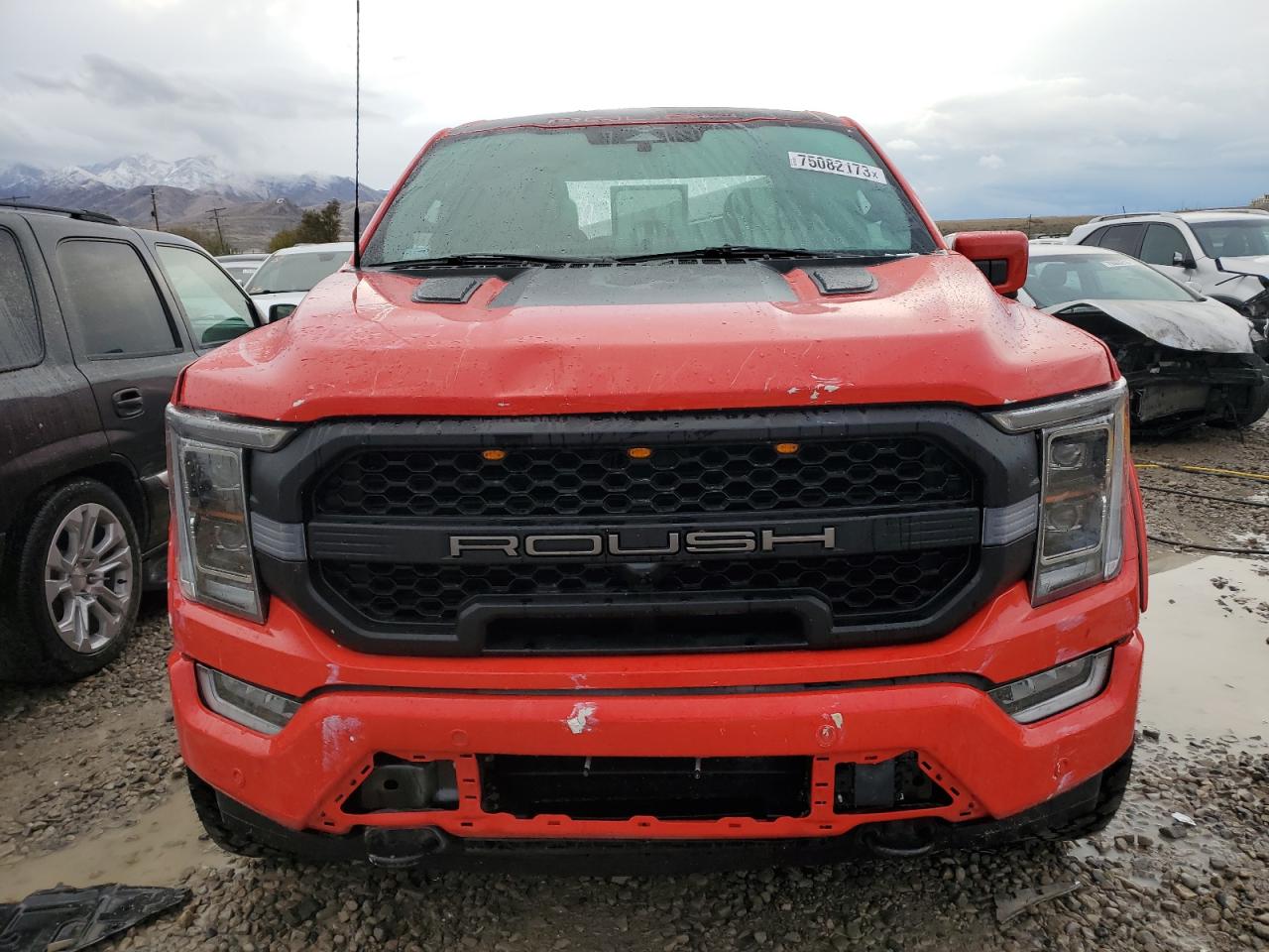 2023 FORD F150 SUPERCREW VIN:1FTFW1E56PKD10171