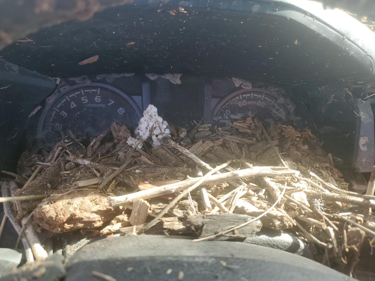 2022 TOYOTA TACOMA DOUBLE CAB VIN:3TMDZ5BN9NM123684