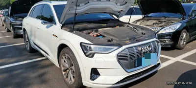 2020 Audi e-tron VIN: