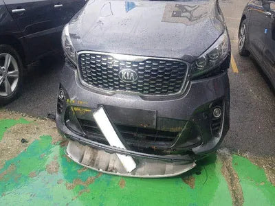 2017 Kia Sorento KNAPG81ABJA383959 VIN:KNAPG81ABJA383959