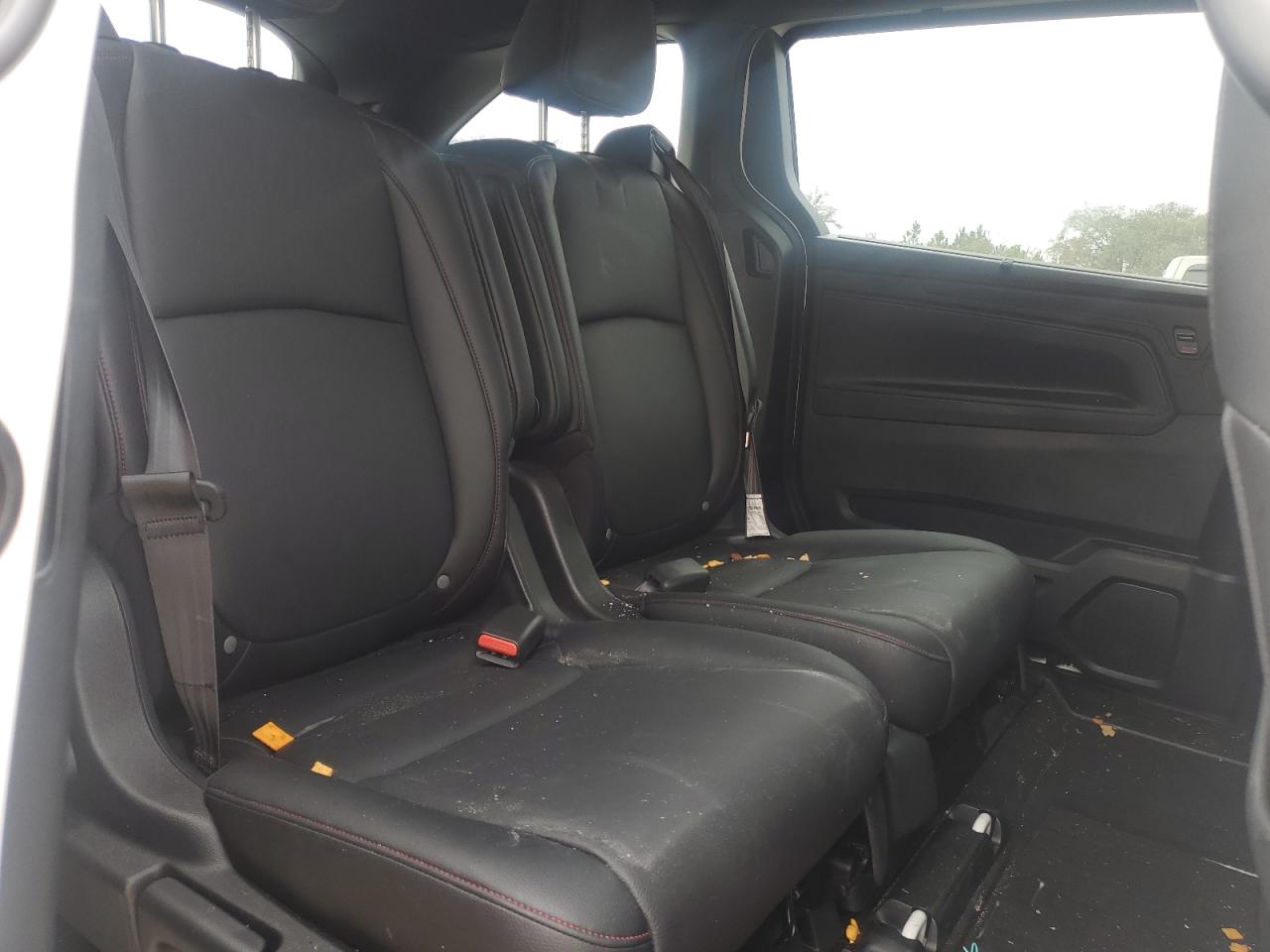 2024 HONDA ODYSSEY SPORT VIN:5FNRL6H72RB024348