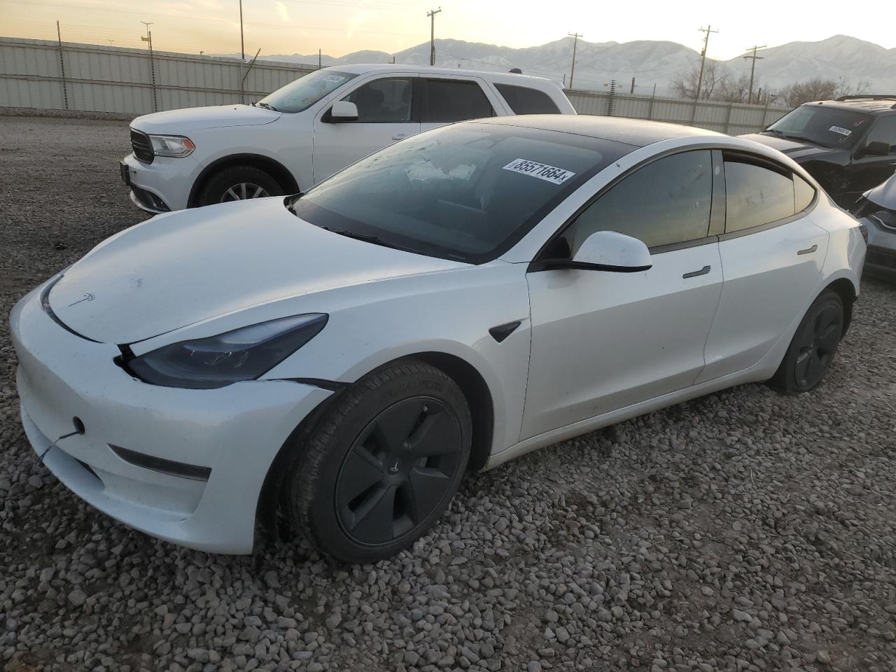 2023 TESLA MODEL 3  VIN:5YJ3E1EA1PF586774