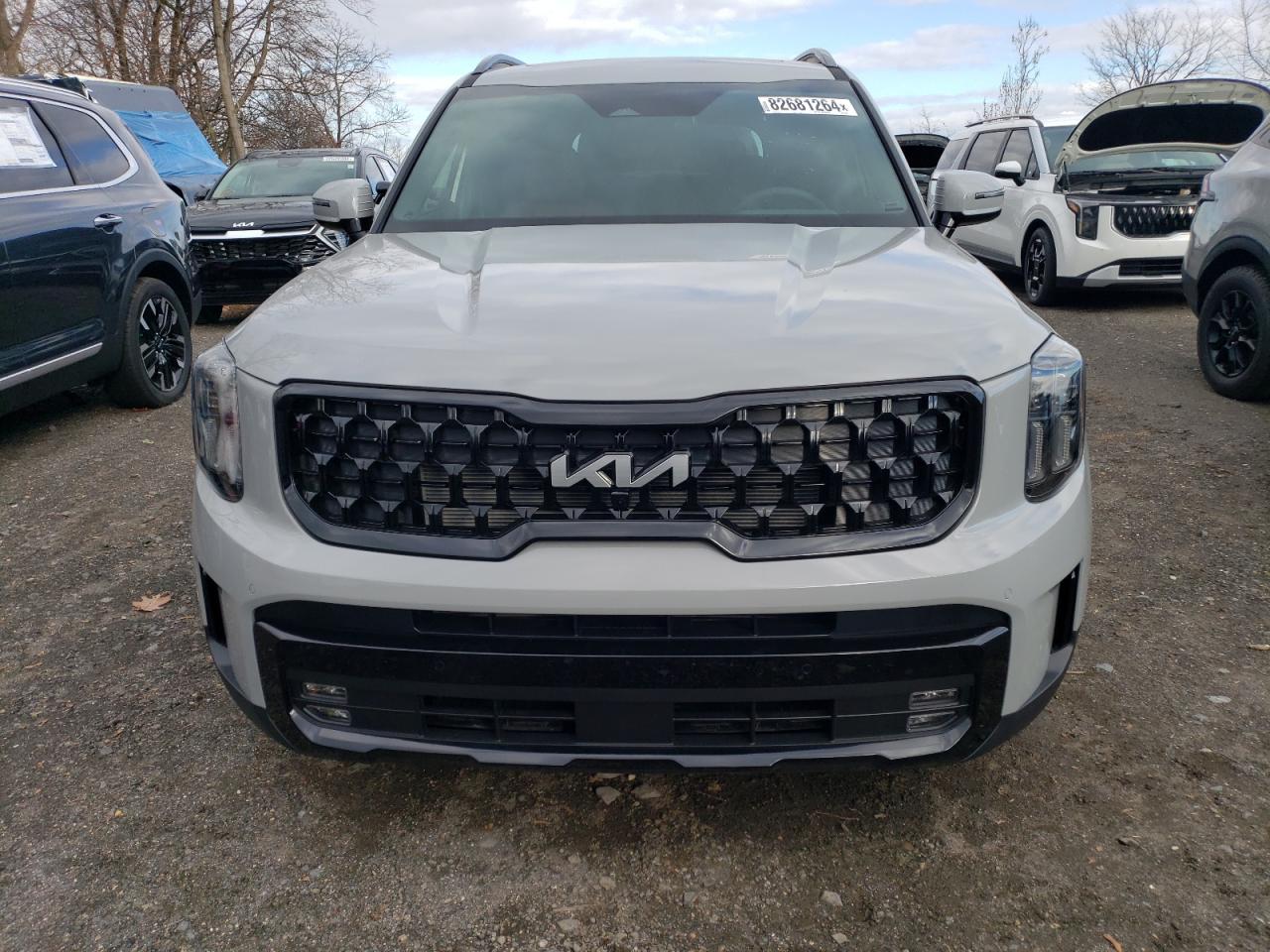 2024 KIA TELLURIDE SX VIN:5XYP5DGC2RG551013