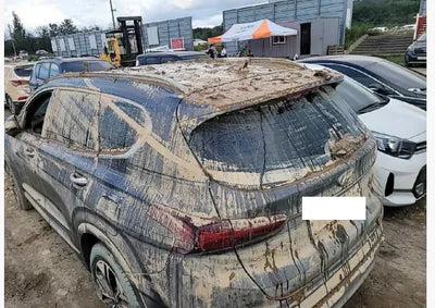 2019 Hyundai Santa FE KMHS381BDKU033487 VIN:KMHS381BDKU033487