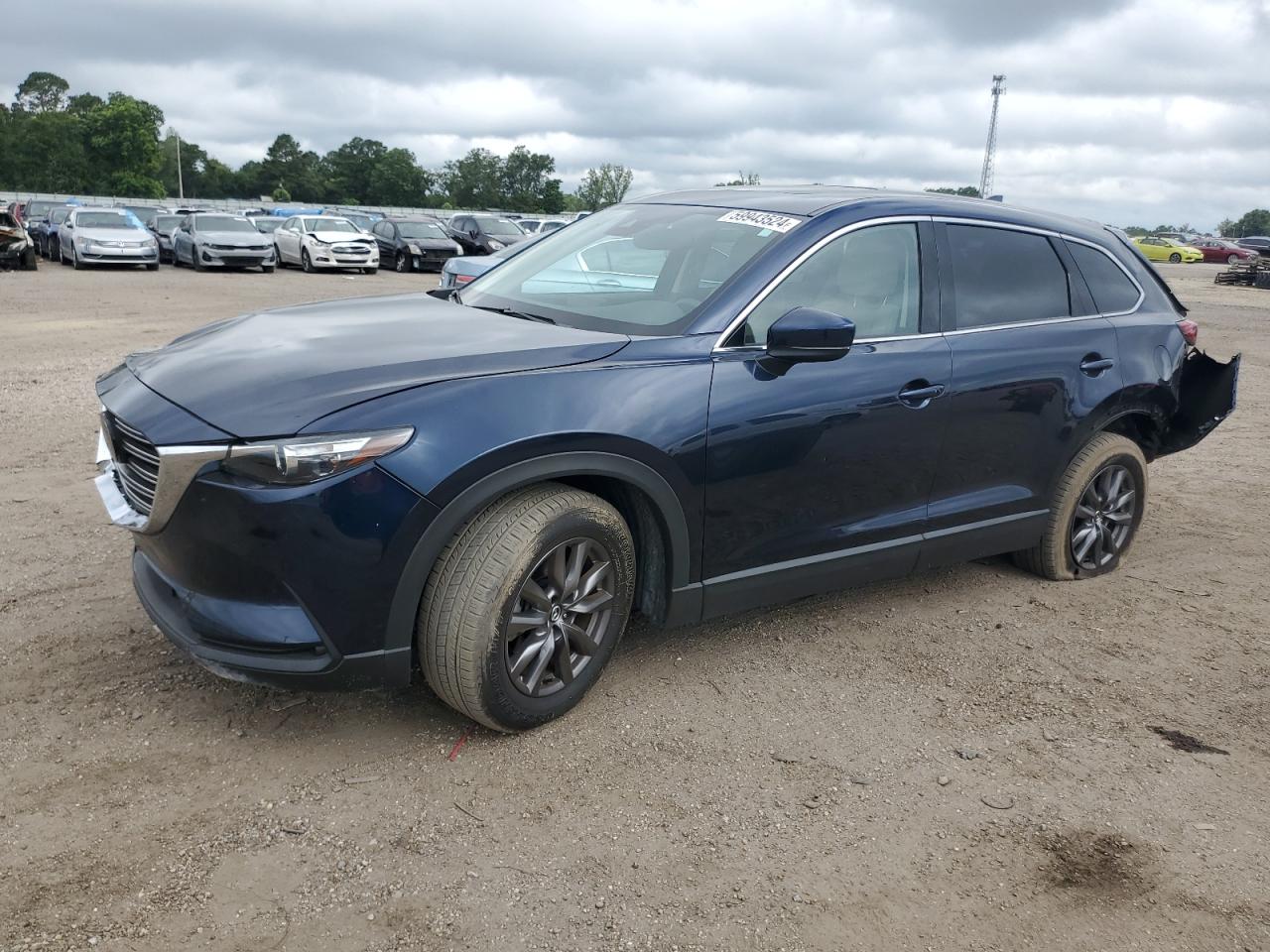 2023 MAZDA CX-9 TOURING VIN:JM3TCBCY9P0653509