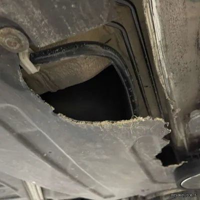 2021 BMW 320 WBA5X5105MFL19925 VIN:WBA5X5105MFL19925