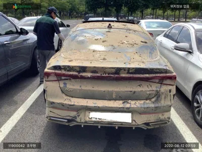 2020 Kia K5 KNAG3412BLA047804 VIN:KNAG3412BLA047804