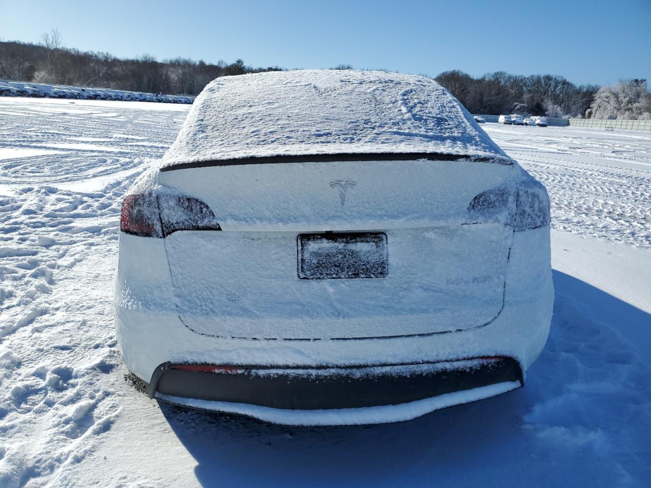 2022 TESLA MODEL Y  VIN:7SAYGDEF6NF416360