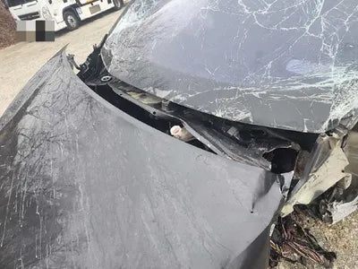 2017 Kia Carnival VIN: