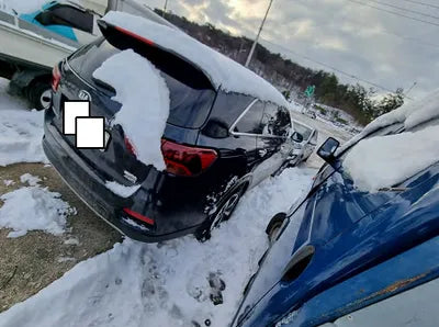 2018 Kia Sorento KNAPG81ADJA460513 VIN:KNAPG81ADJA460513