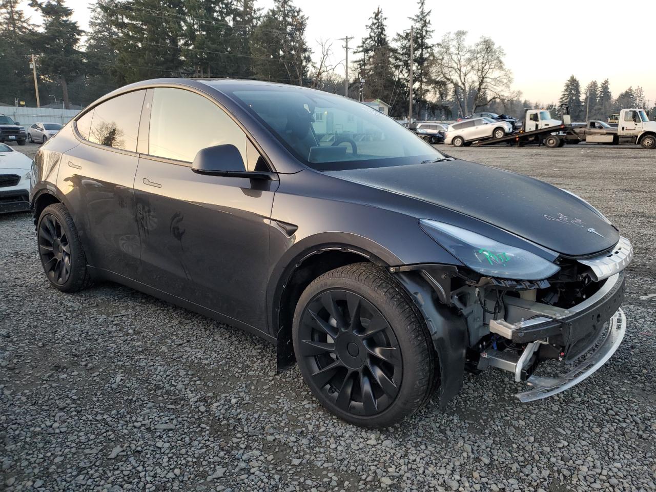 2024 TESLA MODEL Y  VIN:7SAYGAEE0RF162060
