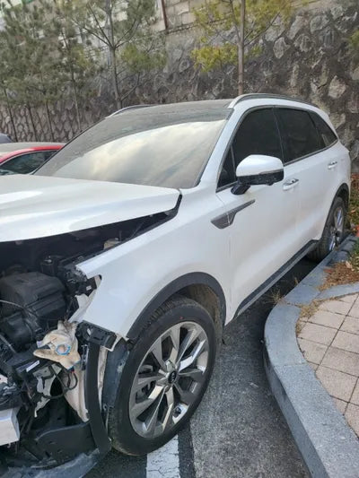 2020 Kia Sorento KNARF81BHMA008085 VIN:KNARF81BHMA008085