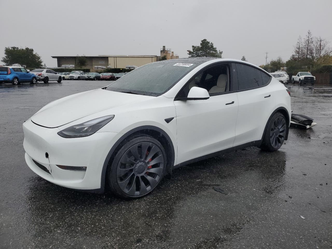 2024 TESLA MODEL Y  VIN:7SAYGDEF9RF094562