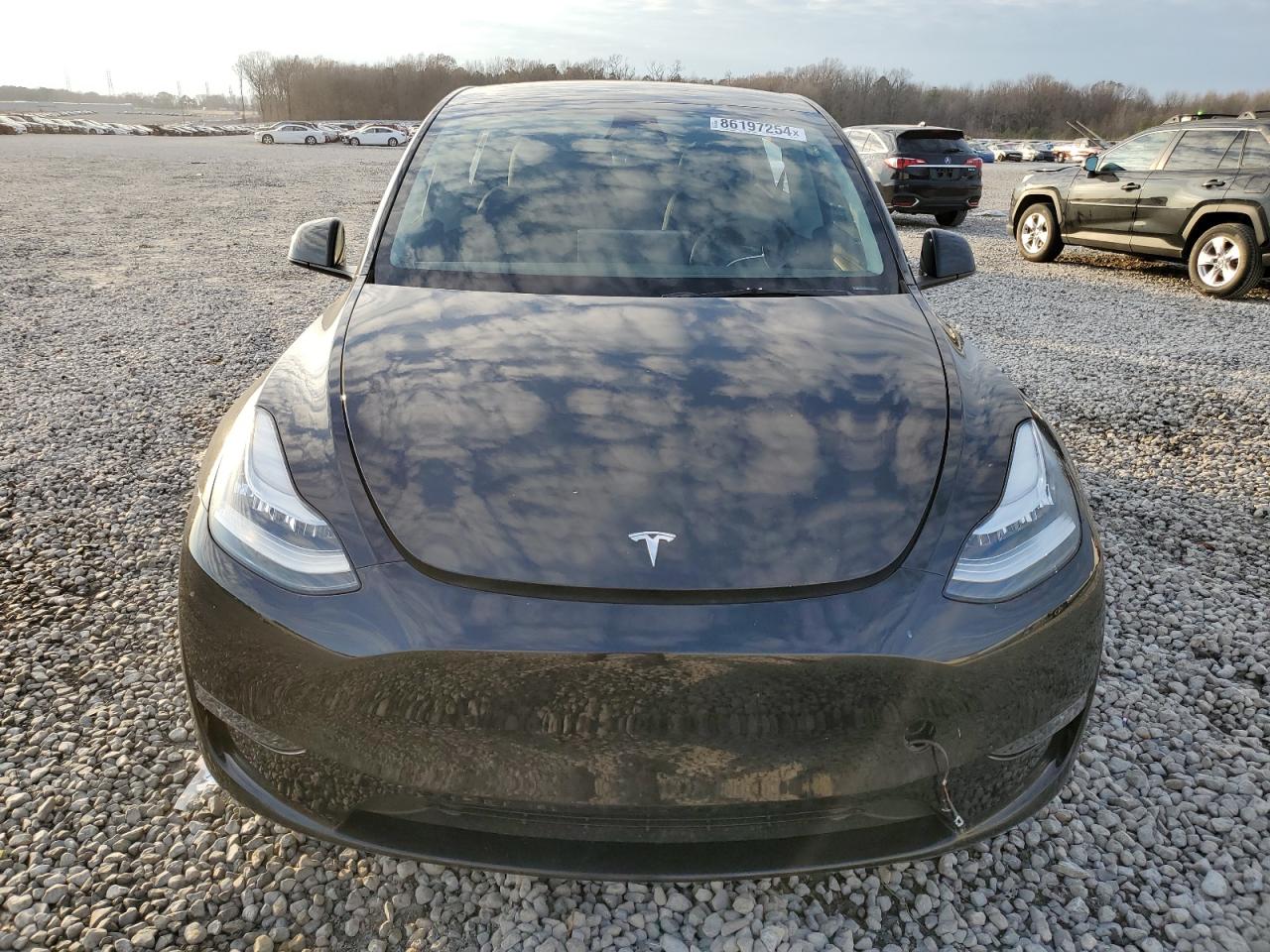 2023 TESLA MODEL Y  VIN:7SAYGDEE1PA057961