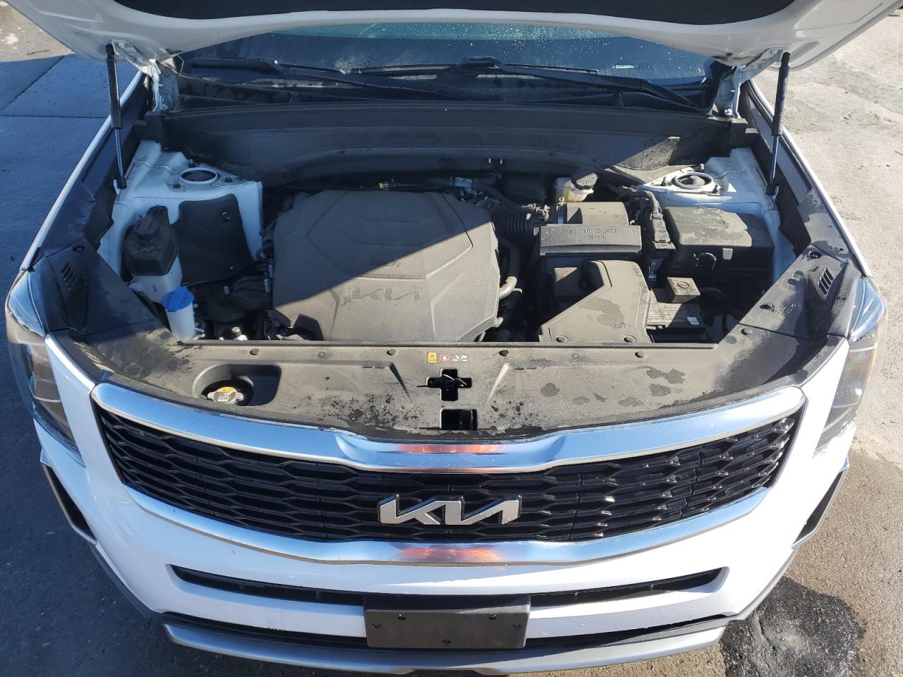 2022 KIA TELLURIDE S VIN:5XYP64HC2NG264423