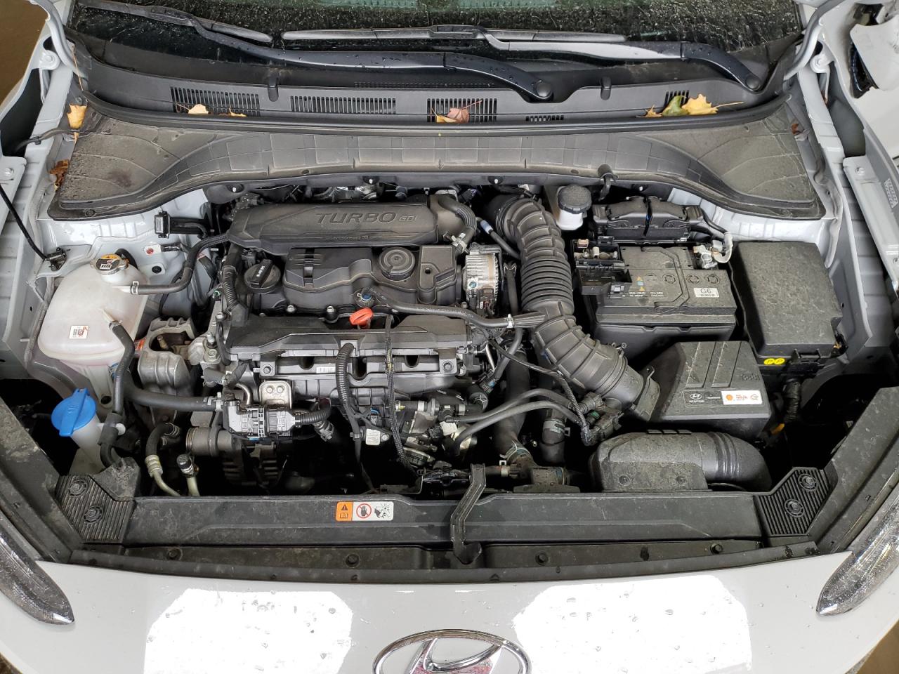 2023 HYUNDAI KONA LIMITED VIN:KM8K5CA39PU992111