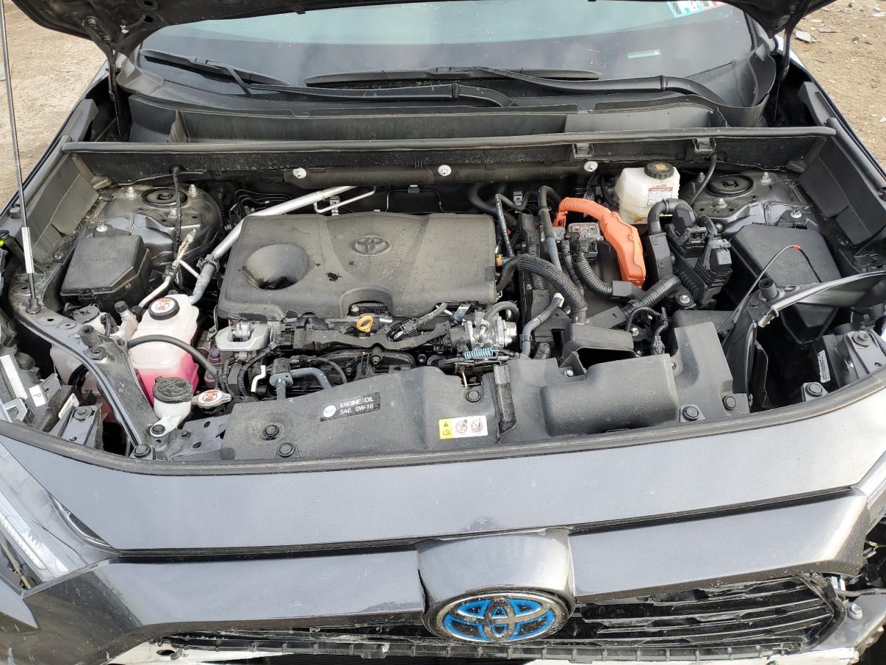2023 TOYOTA RAV4 SE VIN:4T3T6RFV4PU127245