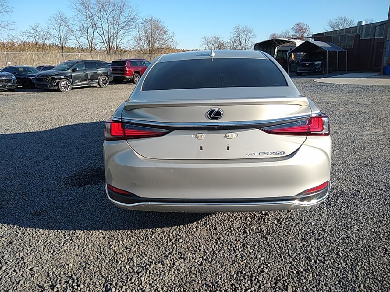 2022 LEXUS ES 250 BASE VIN:58AD11D15NU008493