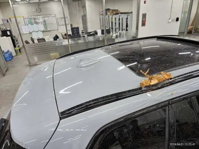 2023 BMW 320 WBA31DP02P9T37201 VIN:WBA31DP02P9T37201