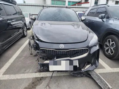 2018 Kia Stinger 969KMKNAE751CDJS0 VIN:969KMKNAE751CDJS0