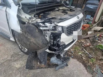 2018 Kia Carnival KNAME81ABKS533413 VIN:KNAME81ABKS533413