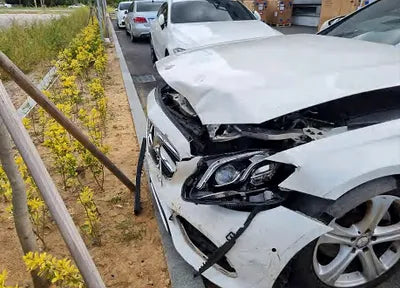 2017 Mercedes-Benz E 220 WDDZF0EBXHA179904 VIN:WDDZF0EBXHA179904