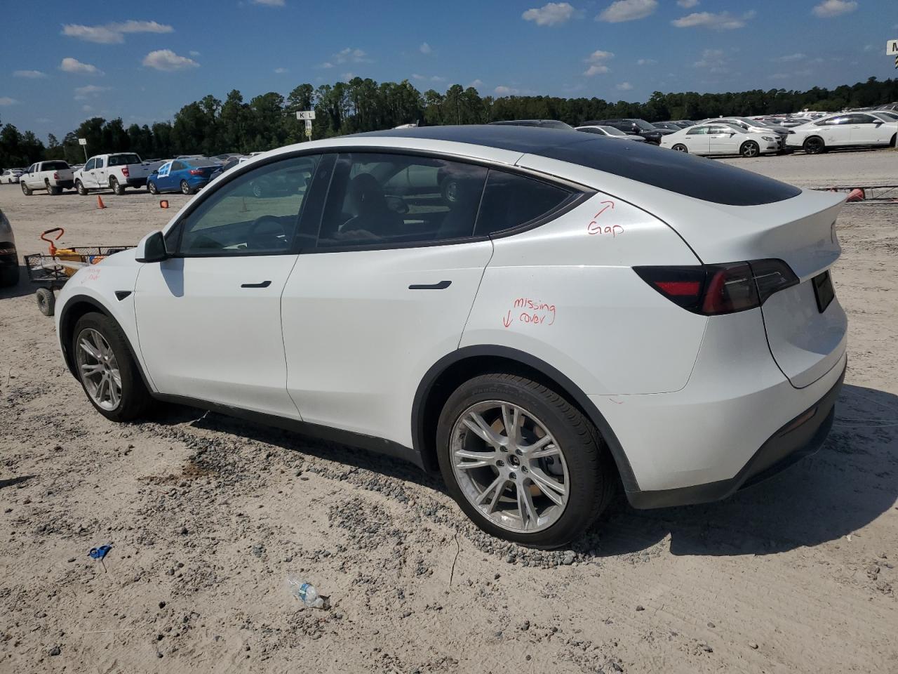 2023 TESLA MODEL Y  VIN:7SAYGDEE2PA130903