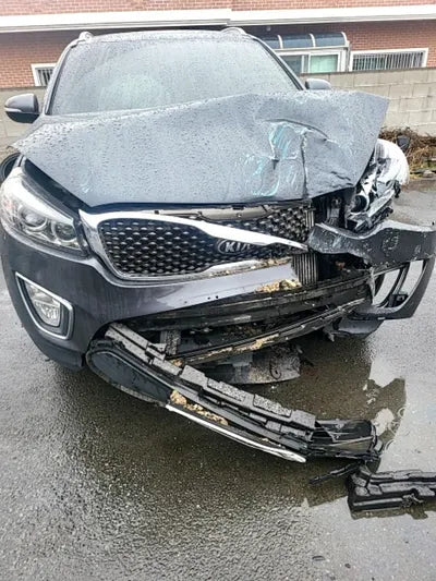 2015 Kia Sorento KNAPS81ABFA087399 VIN:KNAPS81ABFA087399