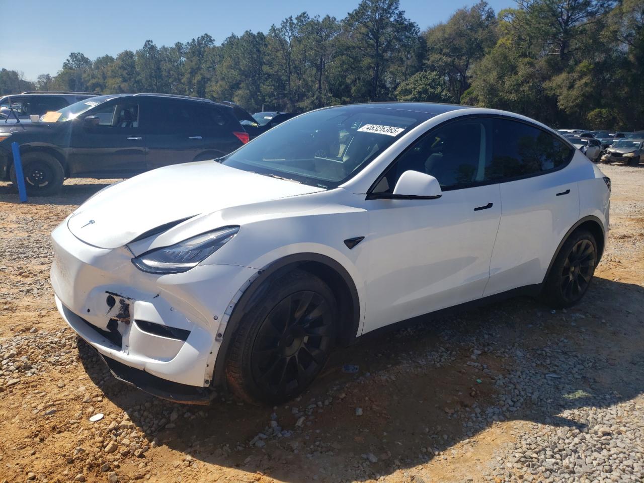 2022 TESLA MODEL Y  VIN:7SAYGDEE7NF385904