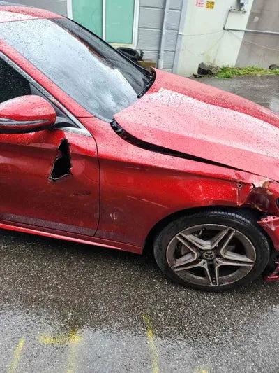 2019 Mercedes-Benz C 220 WDDWF1FB5KR491743 VIN:WDDWF1FB5KR491743