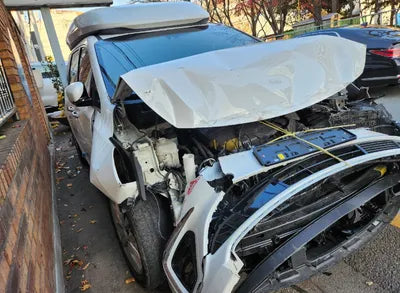 2019 Kia Carnival KNAME81ABKS488032 VIN:KNAME81ABKS488032