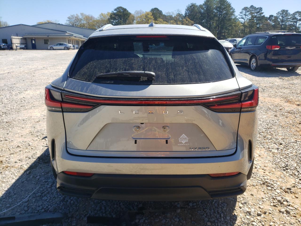 2024 LEXUS NX 250 BASE VIN:2T2ADCAZ3RC008065