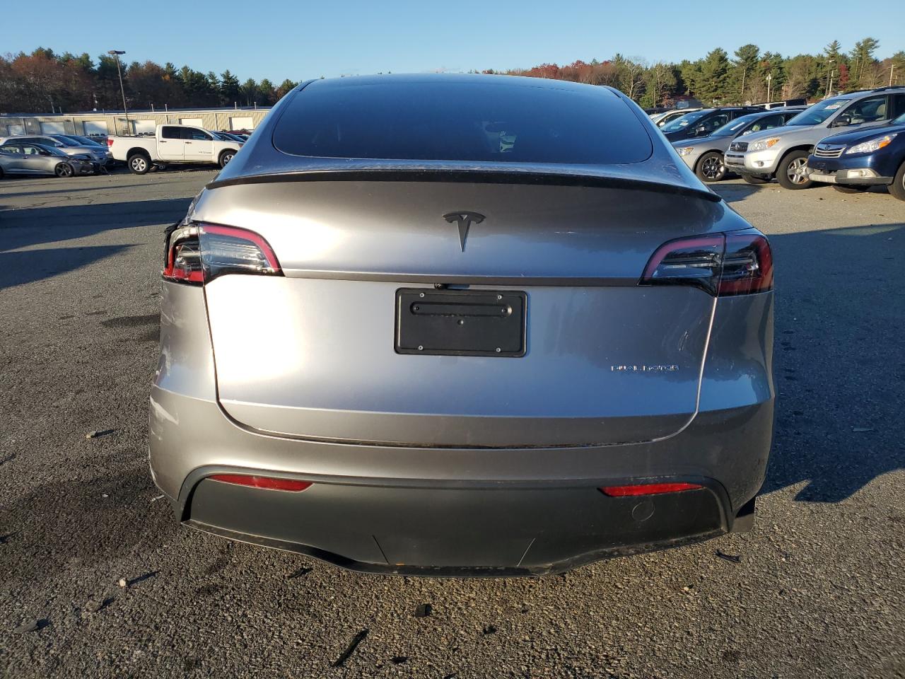 2024 TESLA MODEL Y  VIN:7SAYGDEEXRA300170