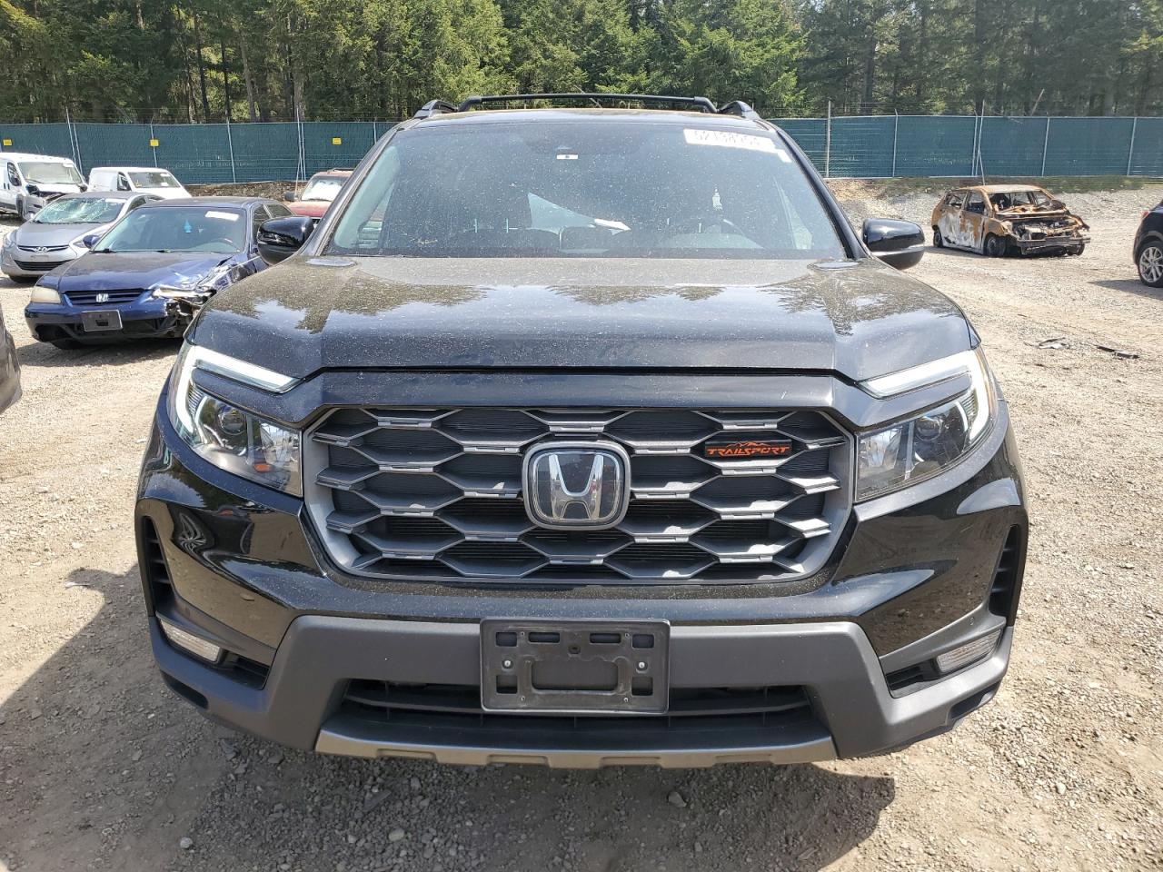 2022 HONDA PASSPORT TRAIL SPORT VIN:5FNYF8H61NB008089