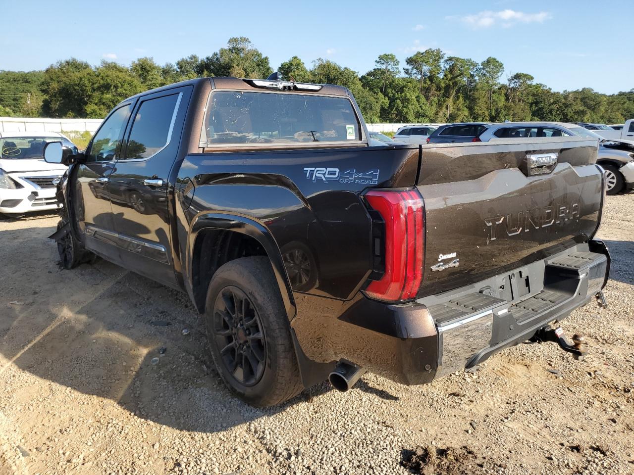 2023 TOYOTA TUNDRA CREWMAX PLATINUM VIN:5TFMC5DB7PX026145