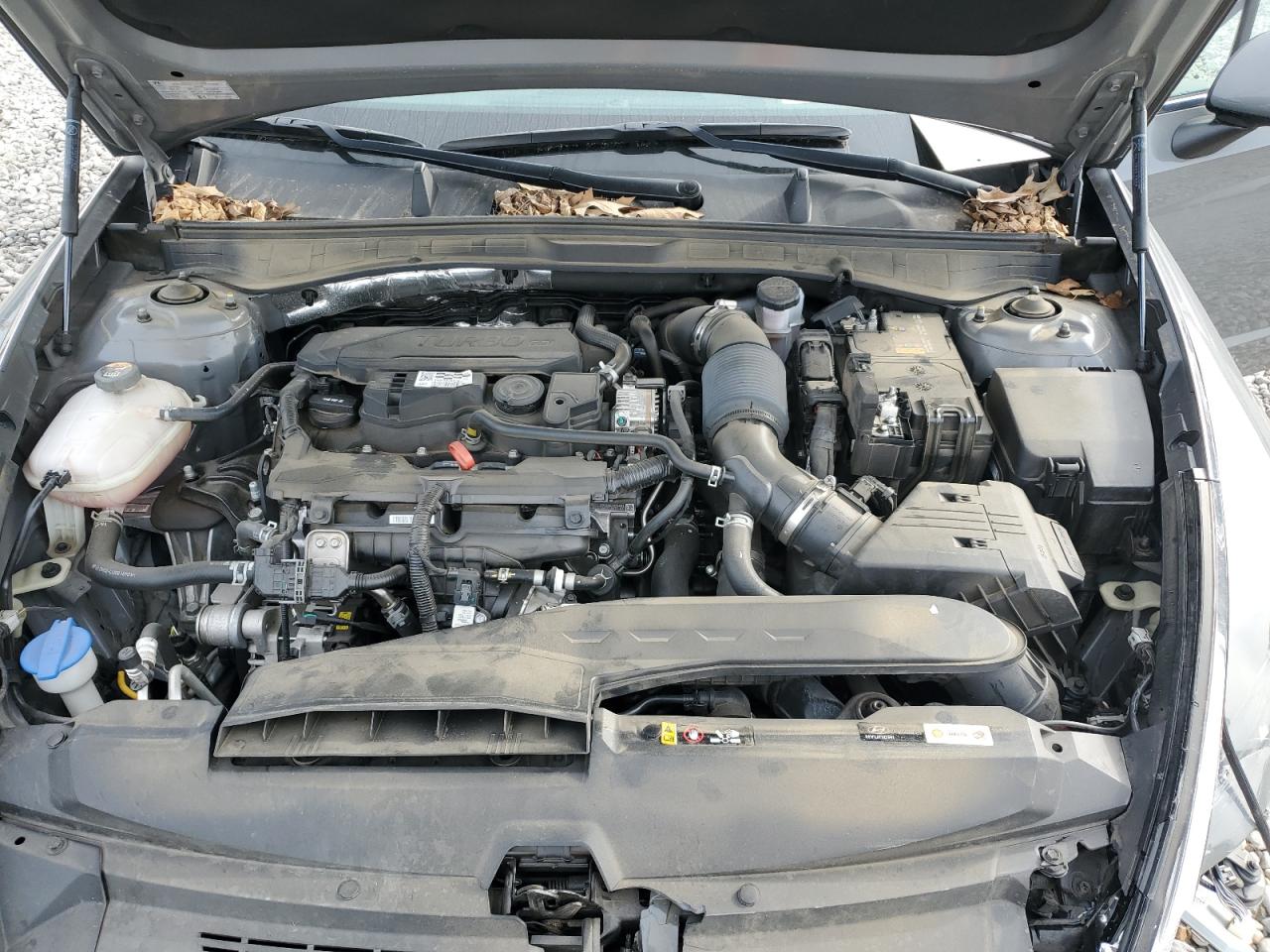 2023 HYUNDAI SONATA LIMITED VIN:KMHL34J22PA247662