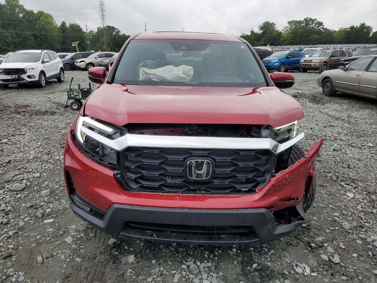 2023 HONDA PASSPORT EXL VIN:5FNYF8H50PB011897