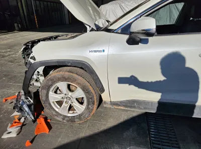 2019 Toyota RAV4 VIN: