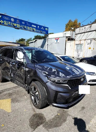 2021 Kia Sorento KNARK81GBMA014905 VIN:KNARK81GBMA014905