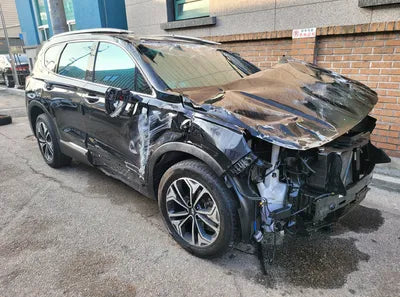 2019 Hyundai Santa FE KMHS381CDKU052076 VIN:KMHS381CDKU052076