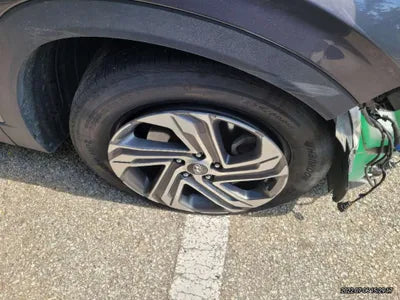 2021 Hyundai Santa FE KMHS381HHMU343576 VIN:KMHS381HHMU343576