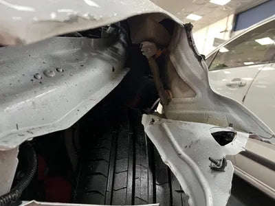 2021 Tesla Model Y 5YJYGDEF5MF283487 VIN:5YJYGDEF5MF283487