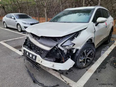 2022 Kia Sportage KNAPW81GBNK029785 VIN:KNAPW81GBNK029785