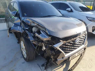 2019 Hyundai Tucson KMHJ3817GKU946256 VIN:KMHJ3817GKU946256