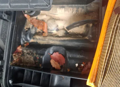 2020 Mercedes-Benz S 450 W1KUG6EB0LA530273 VIN:W1KUG6EB0LA530273