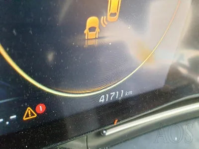 2021 Kia Carnival KNANC813BMS119768 VIN:KNANC813BMS119768