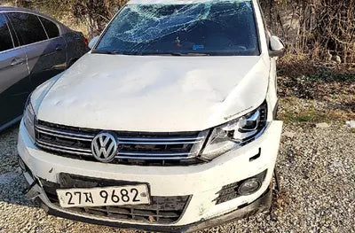 2016 Volkswagen Tiguan WVGZZZ5NZGW554323 VIN:WVGZZZ5NZGW554323