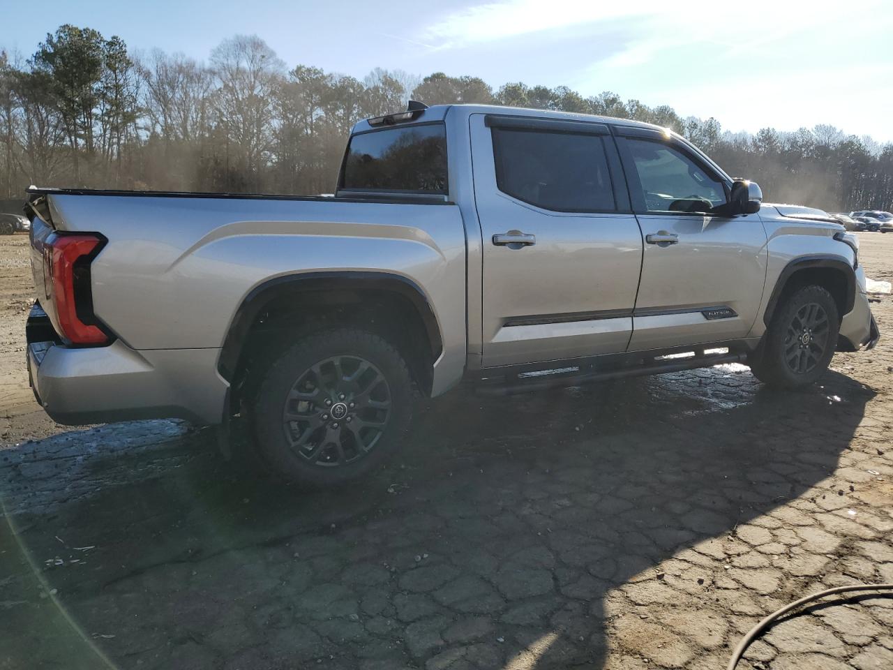 2023 TOYOTA TUNDRA CREWMAX PLATINUM VIN:5TFNA5DB8PX080032