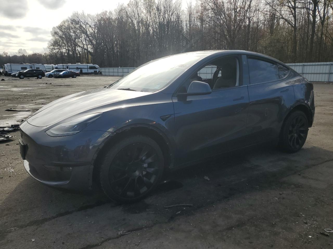 2023 TESLA MODEL Y  VIN:7SAYGDEE3PA203079